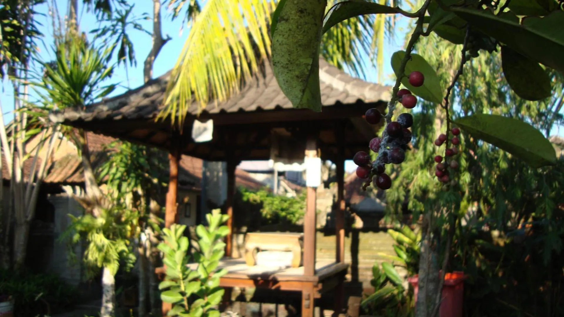 Gusti Home Stay Ubud 0*, Ubud (Bali)